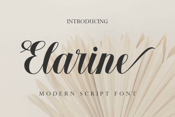Elarine Script Amp Review: A Designer’s Take on Real-World Use