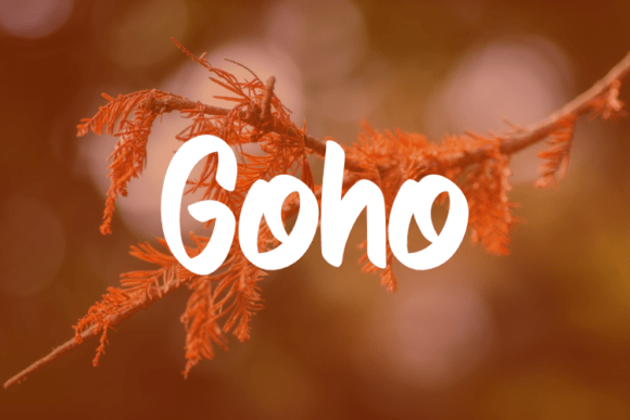 Goho Typeface: Elevate Your Handmade Brand with Modern Elegance