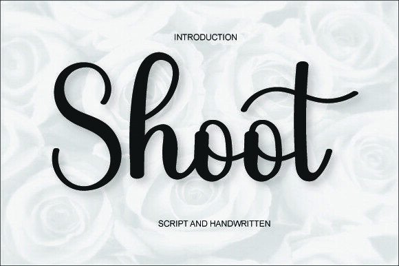 Shoot Font Review: A Designer’s Take on Script Amp’s Bold Personality